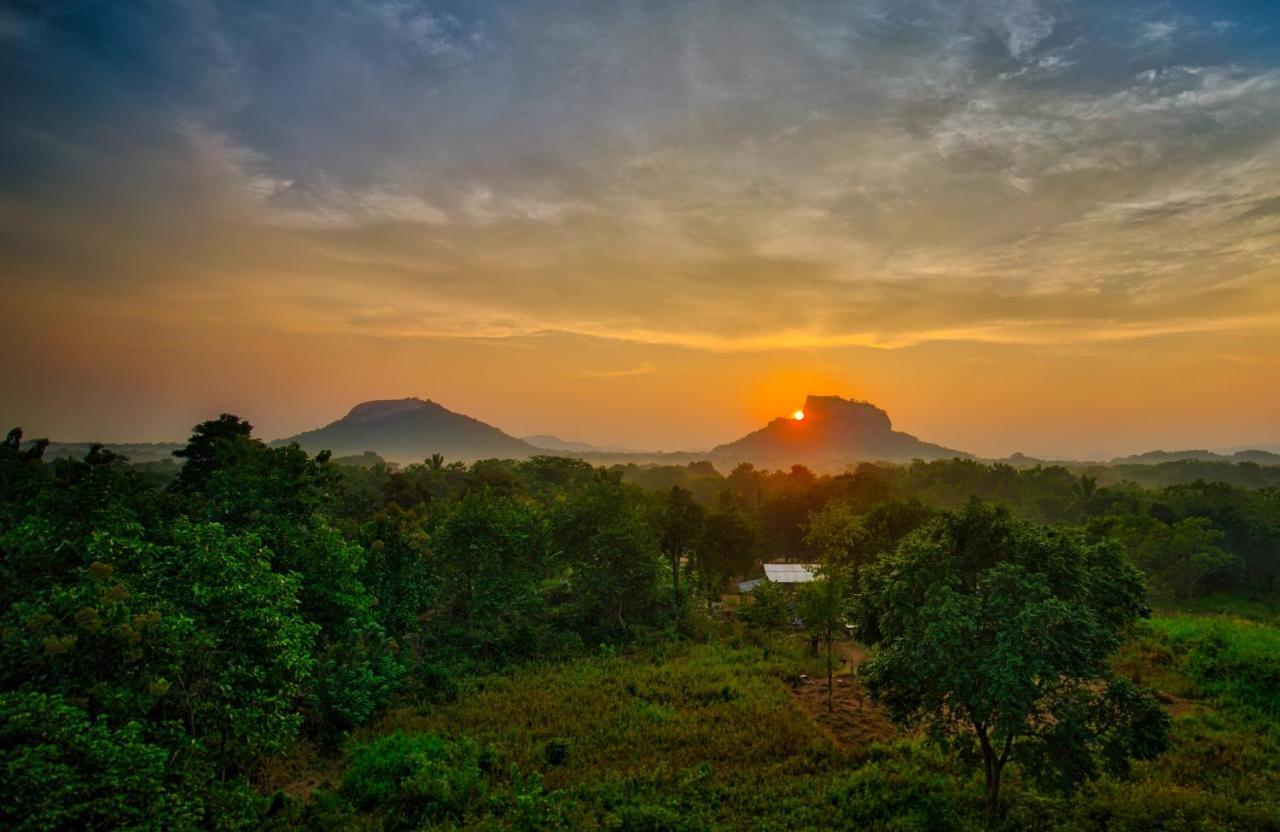 Choona Lodge 'View Of Sigiriya & Pidurangala With Sunrise' Экстерьер фото
